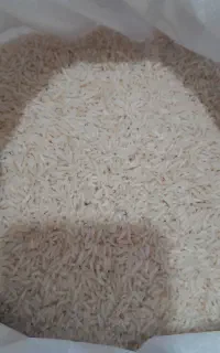برنج هاشمی سورت شده
