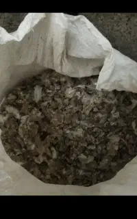 کود کبوتر