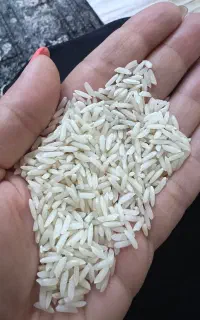 برنج هاشمی درجه ۱آستانه