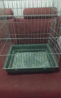 قفس پرنده