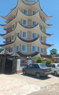 استخدام نیروی کار