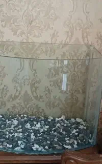 آکواریوم ماهی