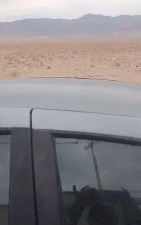 سمند دوگانه کارخانه