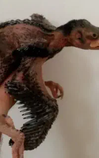 پرنده فره خور