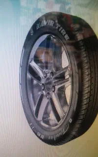 ثبت نام لاستیک دولتی