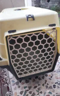 باکس گربه و سگ