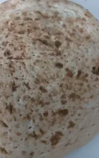 نیازمند فروشنده نان در نانوایی