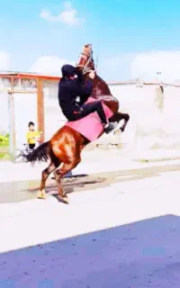 اسب خوش قدم