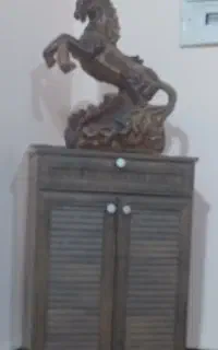 جا کفشی