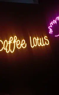 همکار خانم برای کافه بانوان لوتوس