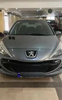 ۲۰۷ پانا رینگ مدل ۱۴۰۱ بیرنگ پلمپ