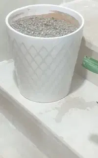 گلدون
