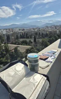 تعداد خیلی زیاد CD