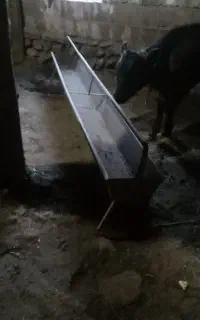 آخور آبخوری وغذا خوری