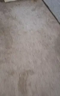 موکت پلاز