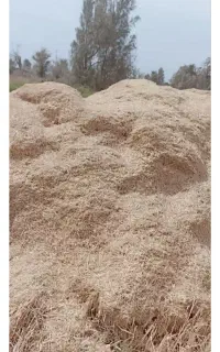 کاه گندم فروشی