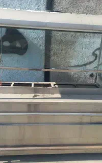 فر بزرگ فسفود