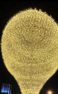 نیازمند کارپرداز پرونده قضایی خانم به صورت درصدی