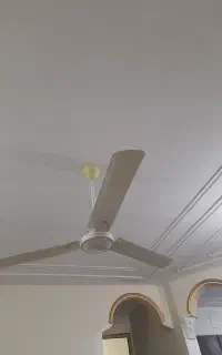 پنکه