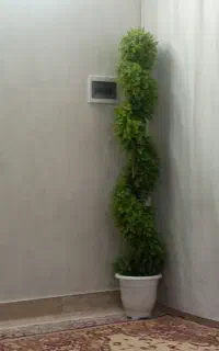 درختچه مصنوعی تمیز