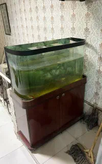 آکواریوم شیشه خم