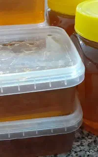 عسل سنقر