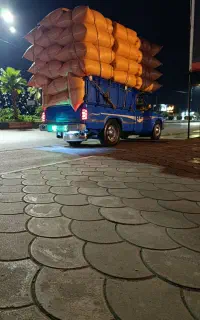باقیمت مناسب تحویل دم دامداری