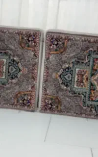 دو عدد پشتی