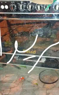 اجاق گاز فردار خراب