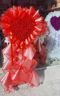 گالری گل هیرمان (روز دختر)