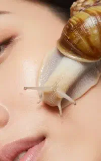 حلزون و زیبایی