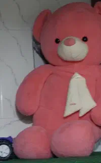 عروسک شاسخین