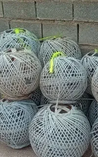 بالون با نخل خرما