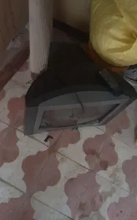 تلویزیون