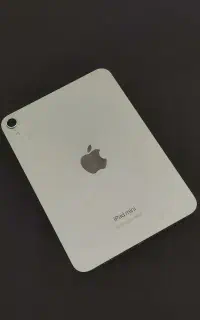 ipad mini7