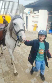 باشگاه  سوارکاری  شاه پسر  (اسب)