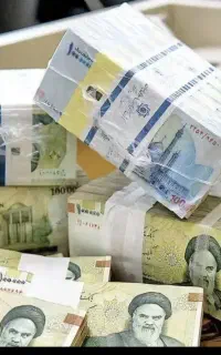درخواست سرمایه