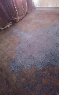 ۹متری زیر قیمت فروش فوری ۷۰۰شانه سالم تمیز و نرم