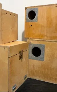 لانه پرنده زینتی چوب روس