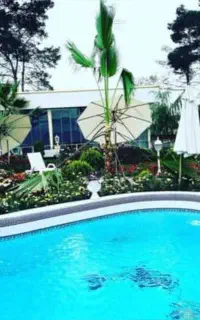 سالن مجالس عقد نامزدی تولد باغ تالار عمارت