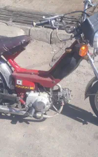 امیکو ۷۰ سالم و روشن