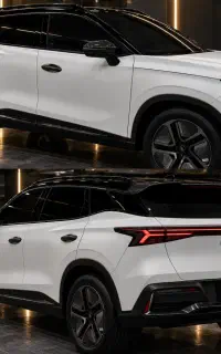 کاور بادی فنس چینی تخصصی لوکانو تیسان فونیکس