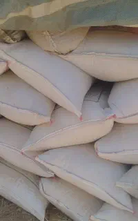 جو‌.