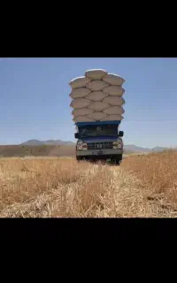 خرید و فروش کاه