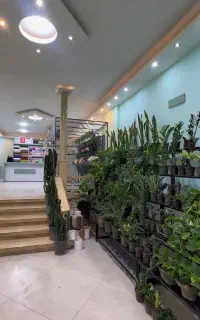 حراج لوارم گلفروشی گل ارایی
