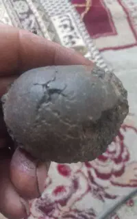 شهاب.سنک.اهننی