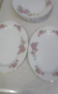 ۲ عدد دیس .گل سرخی
