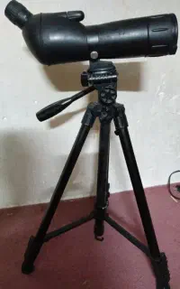 طبیعت