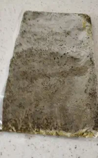 سبزی قورمه