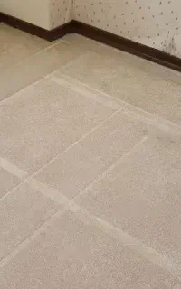دو قطعه موکت پالاز کارکرده